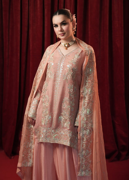 Peach Pink Embroidered Georgette Chiffon Salwar Suit Online in Sri Lanka India Australia