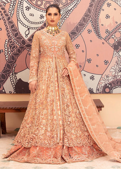 Peach Pink Net Embroidered Maxi Dress Online in Dubai DXB UAE Abudhabi Meena Bazaar