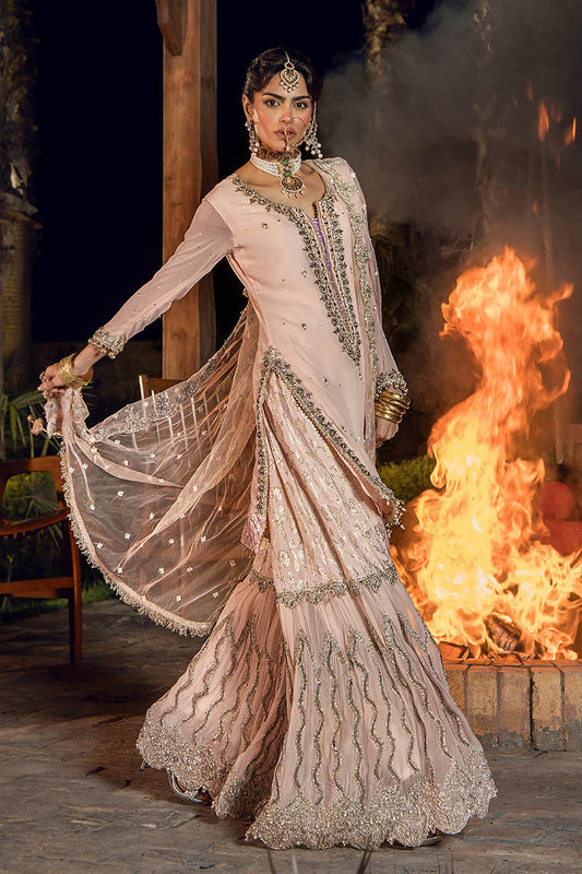 Hand Embroidered Pale Pink Pure Chiffon Gharara