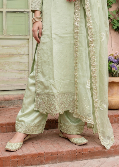 Pistachio Green Embroidered Chiffon Ladies Party Wear Suit Online in UK USA Canada
