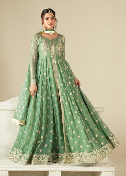 Pistachio Green Embroidered Chiffon Partywear Suit Online in Sri Lanka India Australia