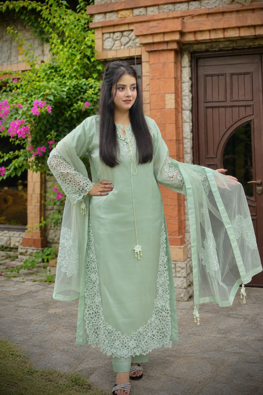 Pistachio Green Embroidered Silk Partywear Suit Online in Dubai UAE Abudhabi Ajman Sharjah