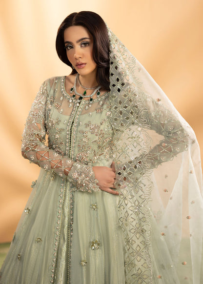 Pistachio Green Organza Dupatta Set Online in Dubai DXB UAE Abudhabi Meena Bazaar