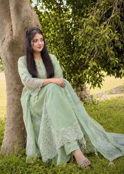Pistachio Green Silk Embroidered Salwar Kameez Online in Sri Lanka India Australia