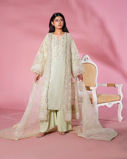 Pistachio Organza Ready to Wear Pakistani Suit Online in Sri Lanka India Australia