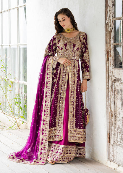 Plum Chiffon Embroidered Wedding Guest Wear Online in Dubai UAE Abudhabi Ajman Sharjah