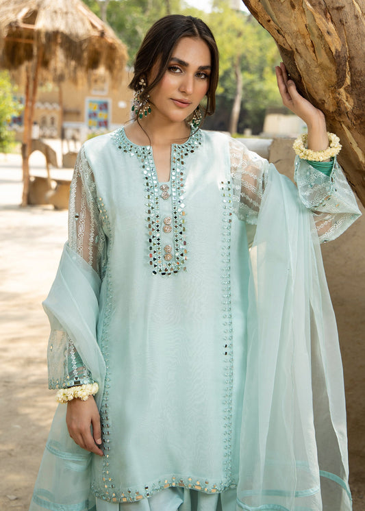 Powder Blue Embroidered Organza Farshi Shalwar Online in Dubai DXB UAE Abudhabi Meena Bazaar