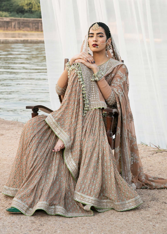 Skin Brown Pure Chiffon Suit