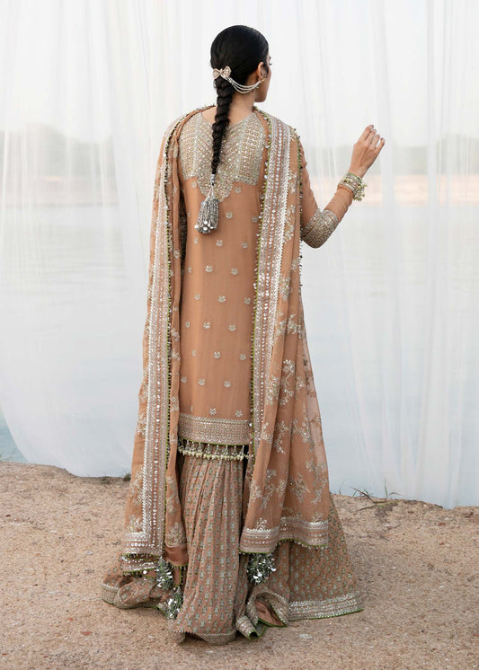 Skin Brown Pure Chiffon Suit