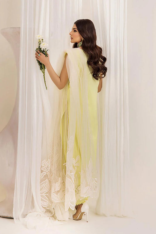 Readymade Pure Cotton Suit