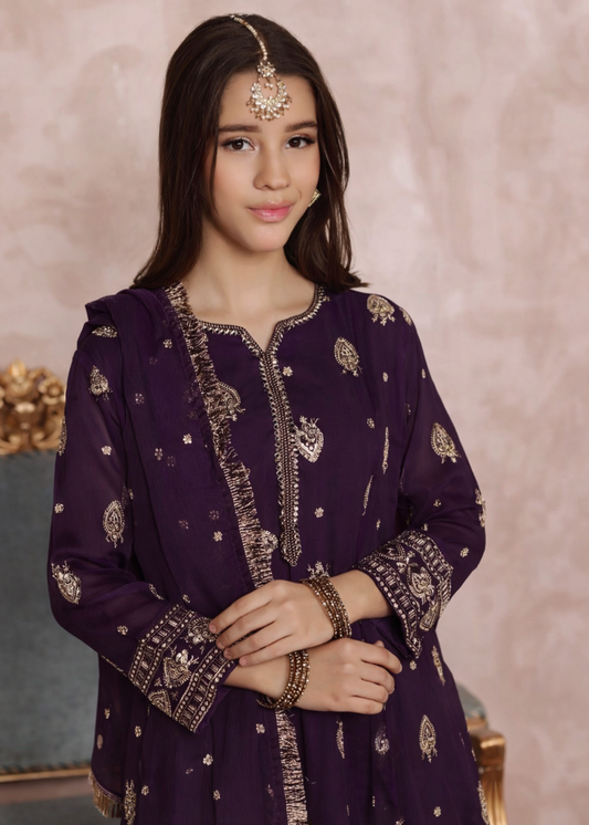 Purple Embroidered Chiffon Party Wear Pishwas Set Online in Sri Lanka India Australia