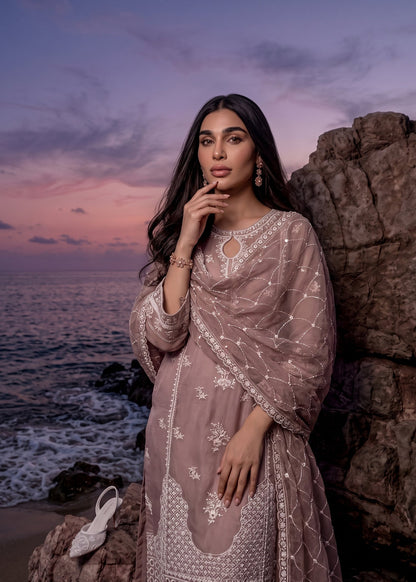 Designer Pink Chiffon Salwar Suit Festive Wear Online in Sri Lanka India Australia