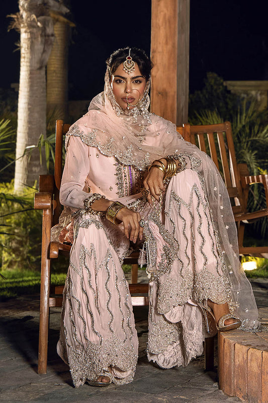 Hand Embroidered Pale Pink Pure Chiffon Gharara