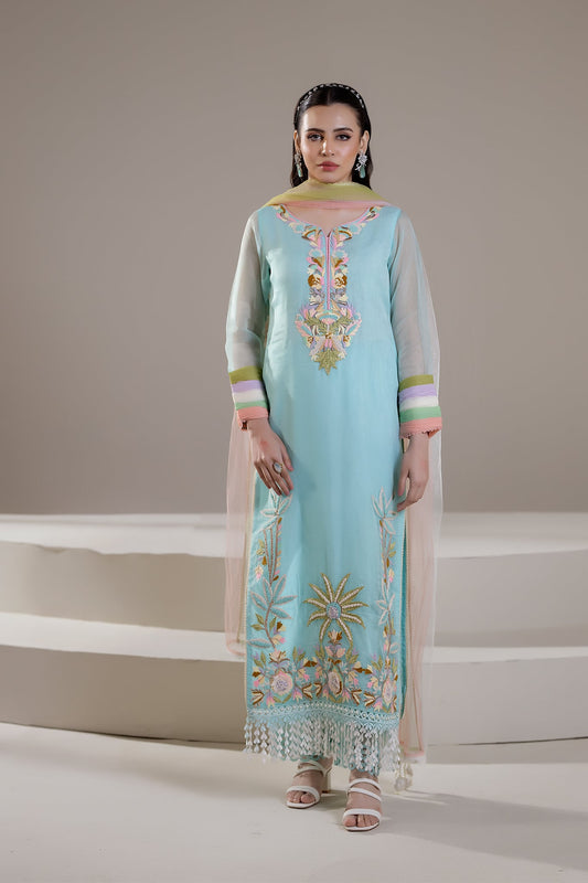Cyan Pure Organza Hand Embroidered Suit