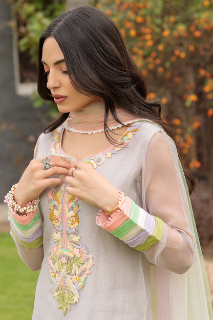 Hand Embroidered Pure Organza Suit
