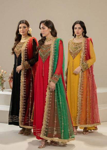 Hand Embroidered Red Pure Chiffon Suit