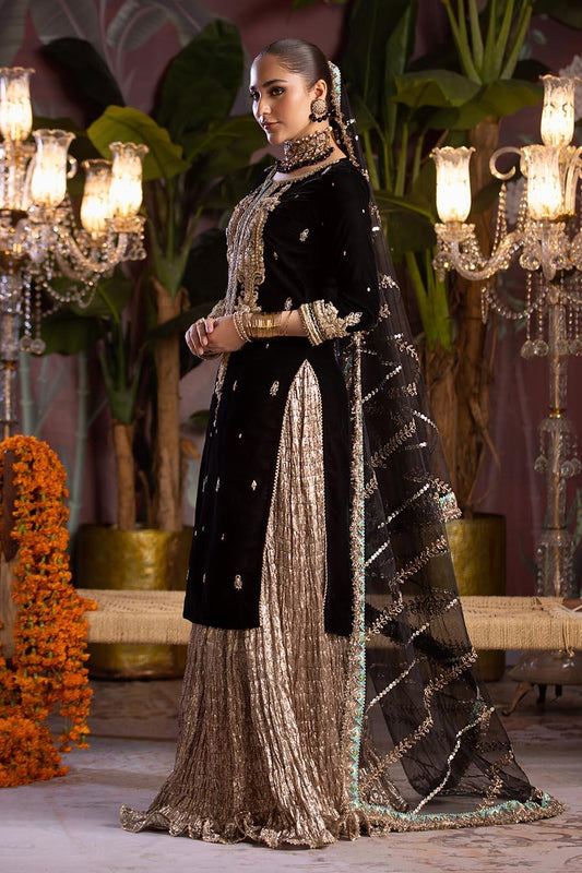 Black Hand Embroidered Velvet Sharara
