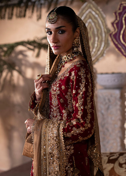 Red Chiffon 3 Piece Festive Gharara Online in Sri Lanka India Australia