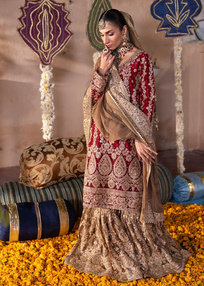 Red Chiffon Straight Leg Gharara Dress Online in Dubai UAE Abudhabi Ajman Sharjah