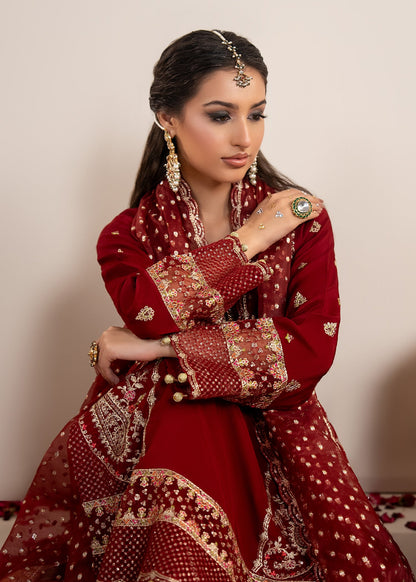 Red Embellished Raw Silk Festive Suit Online in Sri Lanka India Australia