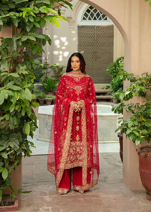 Red Golden Embroidered Chiffon Wedding Guest Outfit Online in Sri Lanka India Australia