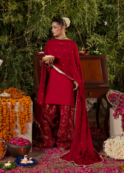 Red Heavy Embroidered Farshi Shalwar Dress Online in Sri Lanka India Australia
