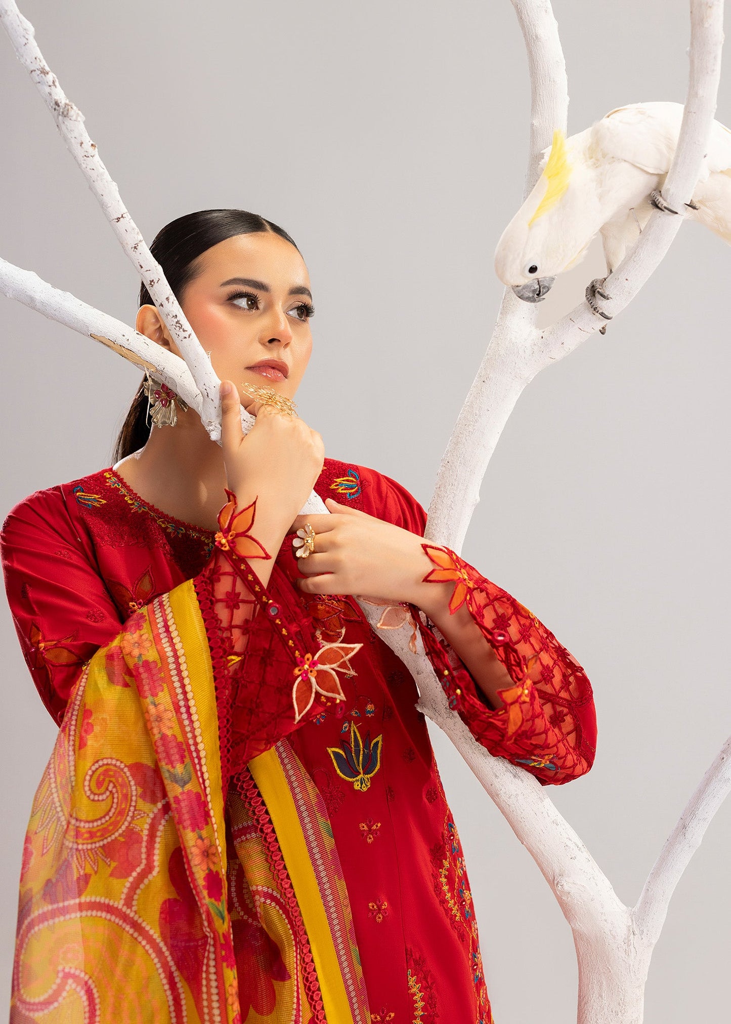 Red Lawn Festive Wear Salwar Kameez Online in Sri Lanka India Australia