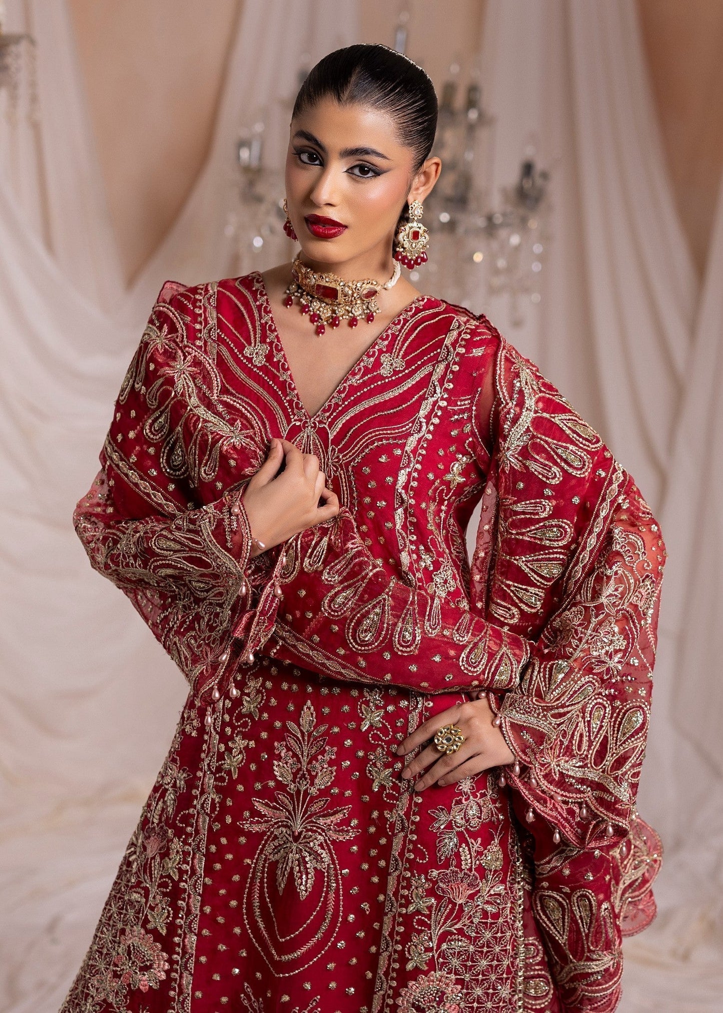 Red Organza Embroidered Straight Kurta Suit Online in Sri Lanka India Australia