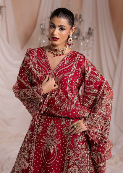 Red Organza Embroidered Straight Kurta Suit Online in Sri Lanka India Australia