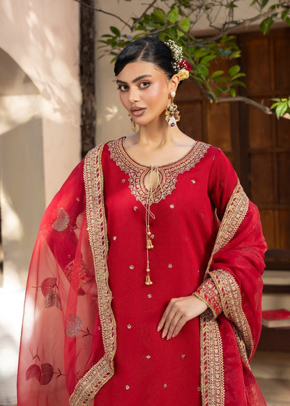 Red Raw Silk Straight Kurta Festive Outfit Online in Dubai UAE Abudhabi Ajman Sharjah