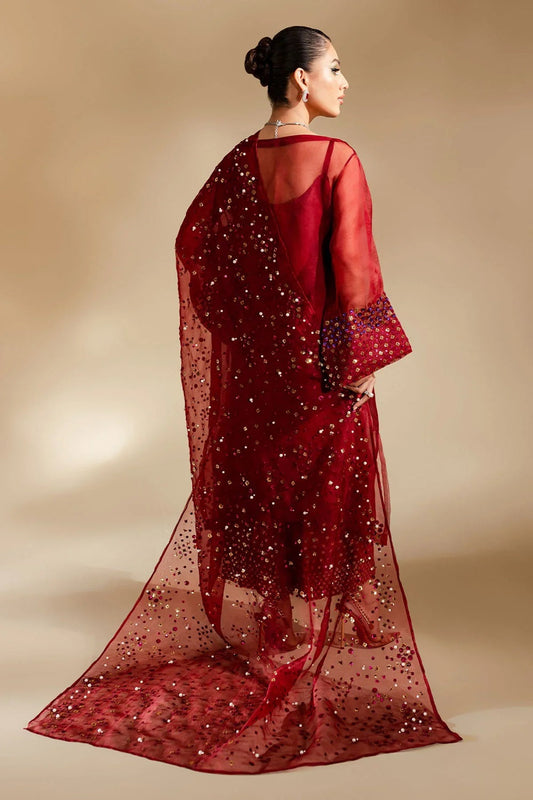 Red Handmade Pure Organza Suit