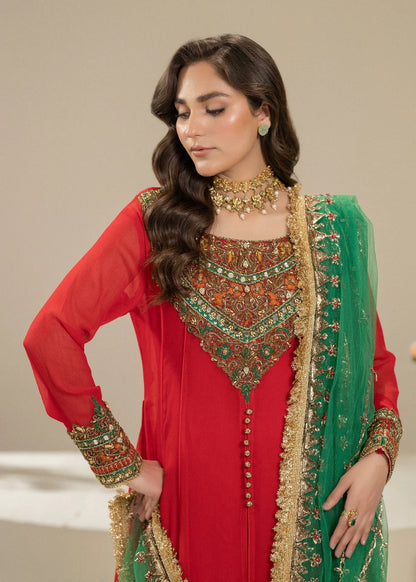 Hand Embroidered Red Pure Chiffon Suit
