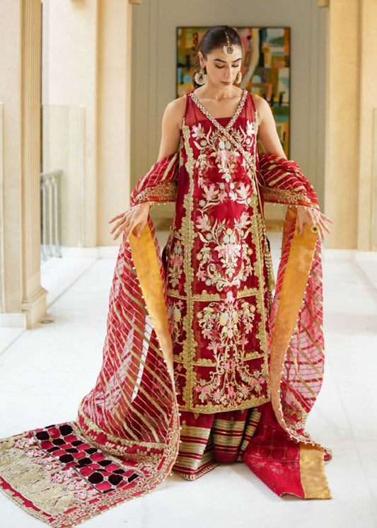 Scarlet Embroidered Organza Suit