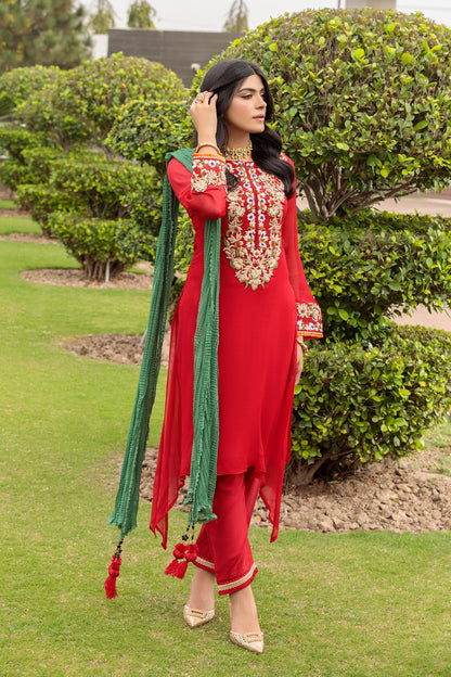 Red Hand Embroidered Pure Chiffon Suit