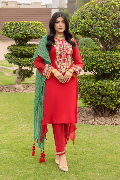 Red Hand Embroidered Pure Chiffon Suit