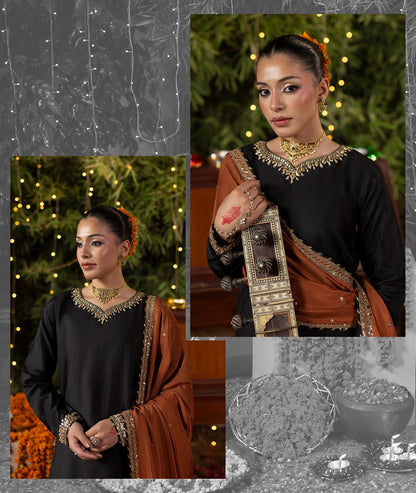 Rust Embroidered Raw Silk Pakistani Suit Online in Sri Lanka India Australia