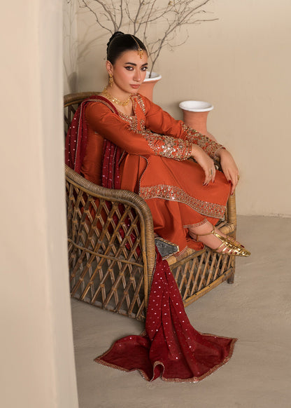 Rust Orange Heavy Work Raw Silk Salwar Kameez Online in Sri Lanka India Australia