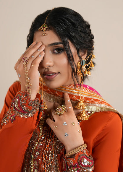 Rust Orange Raw Silk Sharara with Bindi Organza Dupatta Online in Sri Lanka India Australia