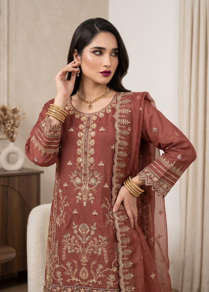 Rust Red Embroidered Organza Salwar Suit Online in Sri Lanka India Australia
