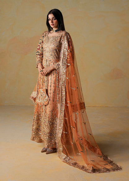 Rust Toned Net Embroidered Formal Maxi Online in Sri Lanka India Australia