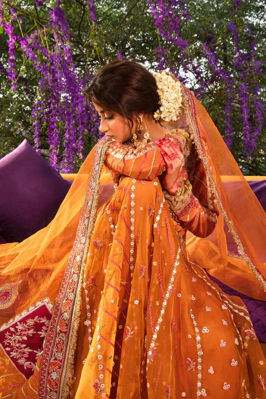 Rust Orange Anarkali / Lehenga