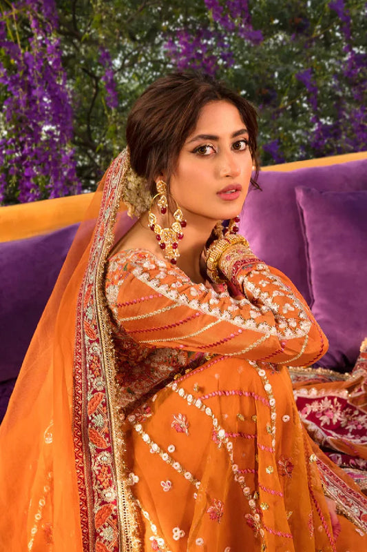 Rust Orange Anarkali / Lehenga