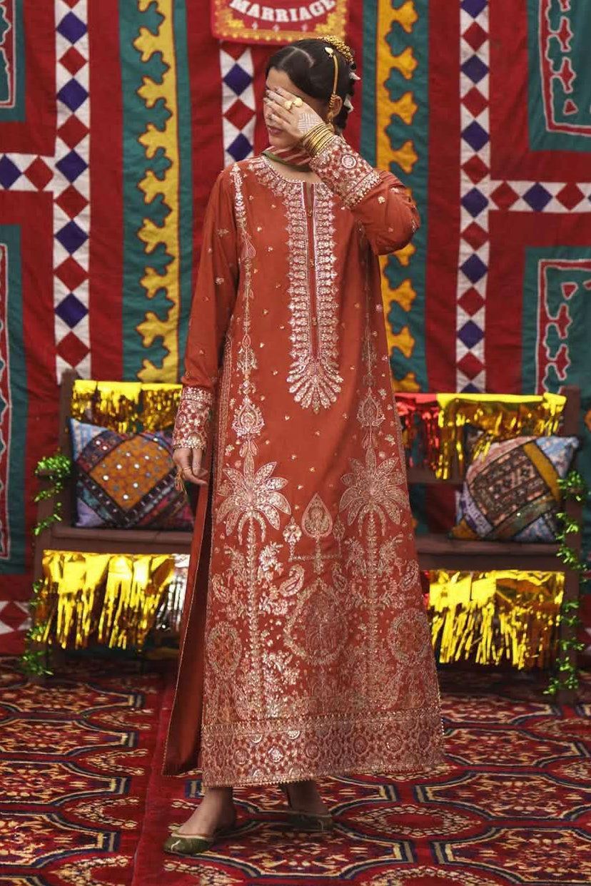 Rust Embroidered Viscose Silk Suit