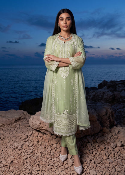 Sage Green Chiffon Pakistani Designer Suit Online in Sri Lanka India Australia