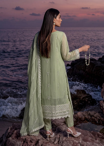 Sage Green Embroidered Chiffon Salwar Suit Online in Dubai DXB UAE Abudhabi Meena Bazaar
