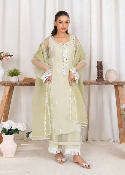 Sage Green Resham Mirror Work Organza Ensemble Online in Dubai DXB UAE Abudhabi Meena Bazaar