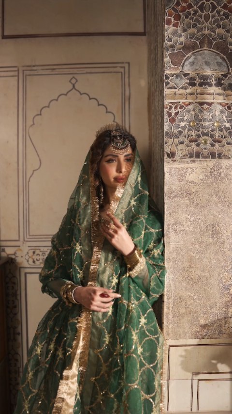 Sequins Embroidered Organza Sharara