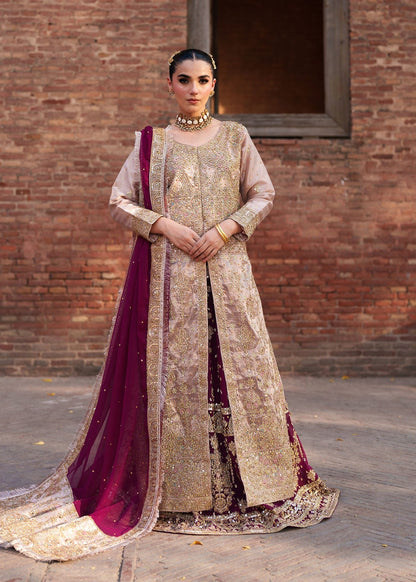 Shop Blush Pink Net Festive Wear Dress Material Online in Sri Lanka India Australia