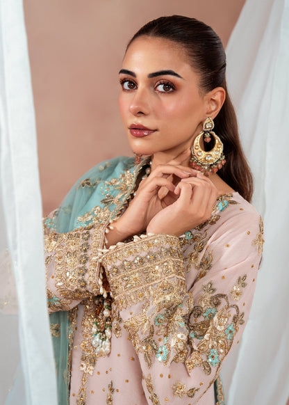 Shop Blush Pink Party Wear Gharara Online in Sri Lanka India Australia