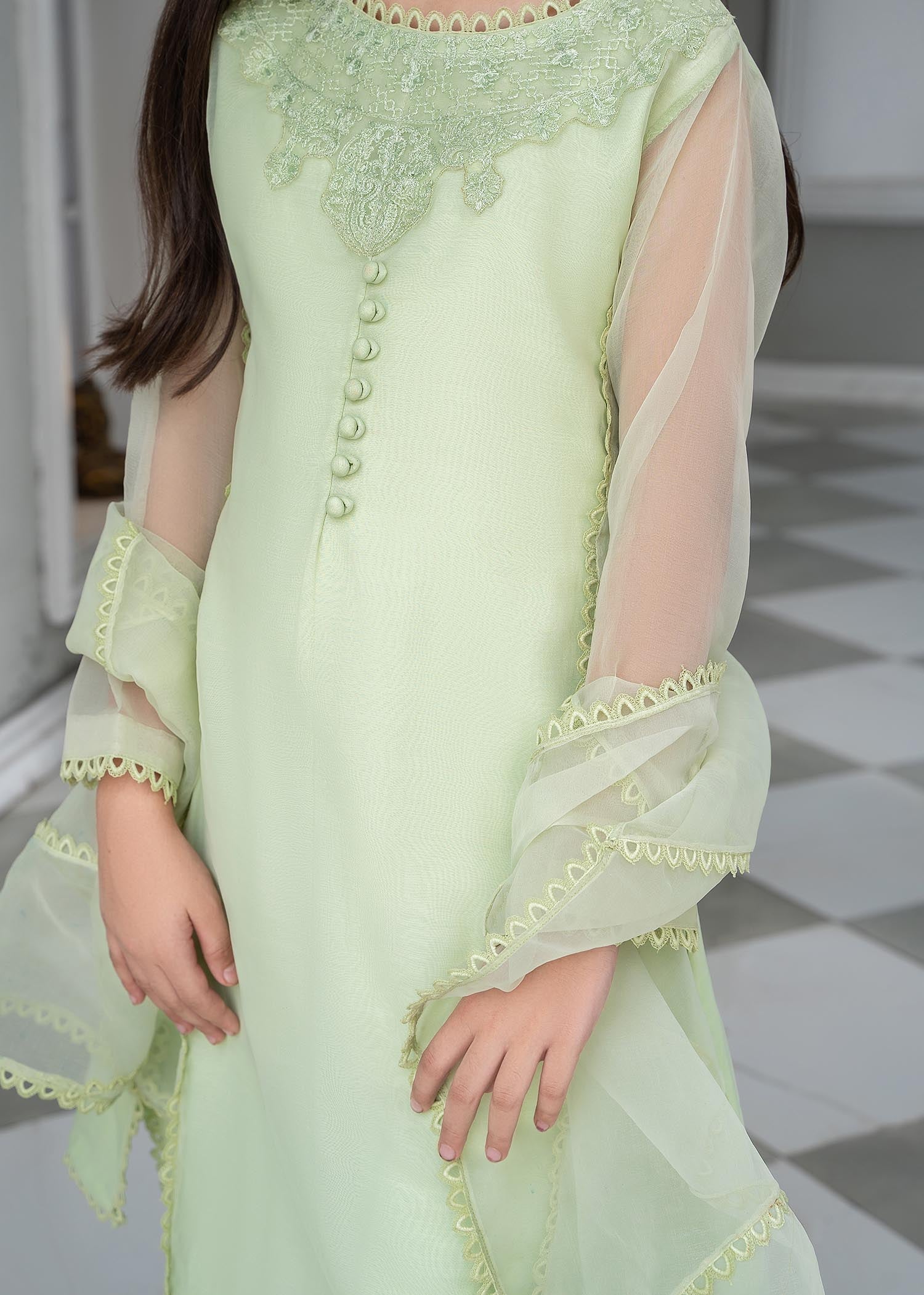 Shop Mint Green Embellished Raw Silk Organza Suit Online in Dubai DXB UAE Abudhabi Meena Bazaar